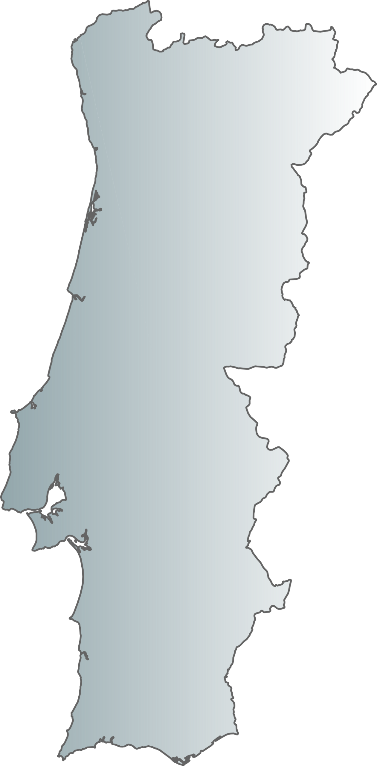 DM Live Road Map Portugal 2027